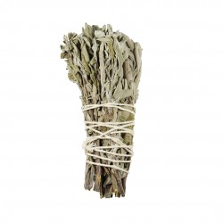 Adaçayı Tütsü Adaçayı Tütsü